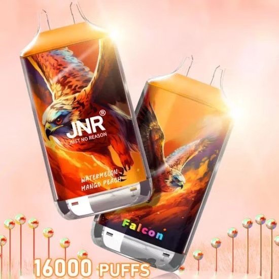 Carton de Cigarette électronique Jetable JNR Falcon 16000 Bouffées Vape – Vente Uniquement en Lot de 200 Unités (Minimum de Commande)