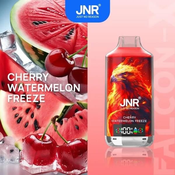 Carton de Cigarette électronique Jetable JNR Falcon X 18000 Bouffées Vape – Vente Uniquement en Lot de 200 Unités (Minimum de Commande)